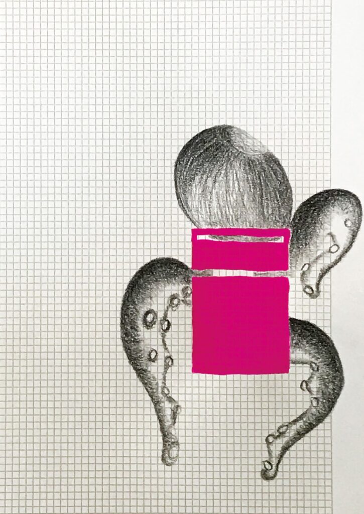 Drawing of a cuttlefish with a pink rectangle